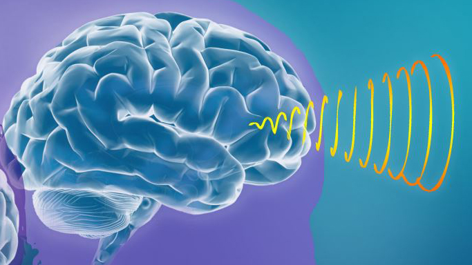 Medical illustration of a brain